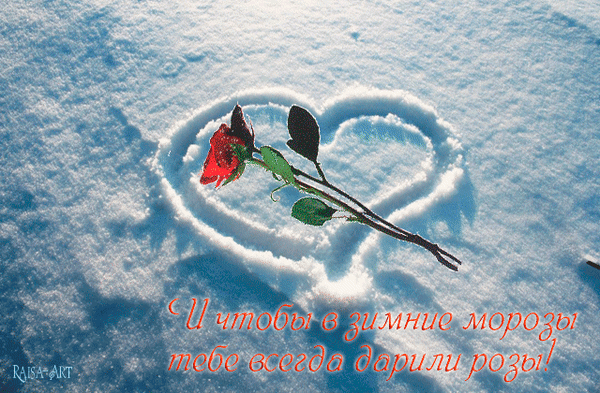 Анимированная открытка Чтобы в зимние морозы тебе дарили розы