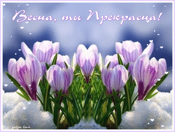 Анимированная открытка Весна, ты прекрасна!