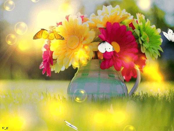 Анимированная открытка цветы