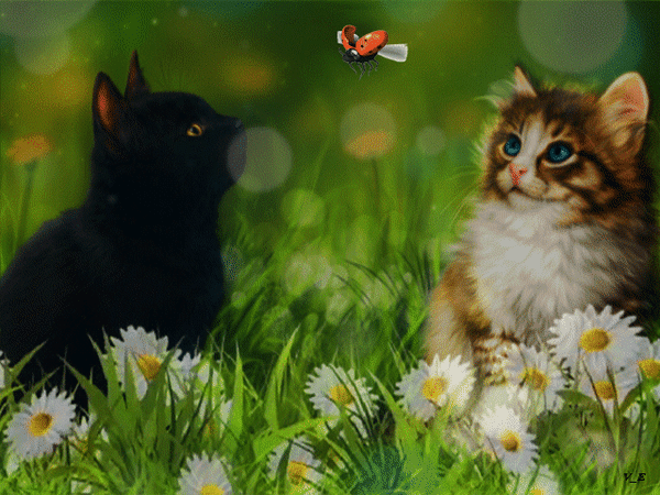 Анимированная открытка Котята и божья коровка.