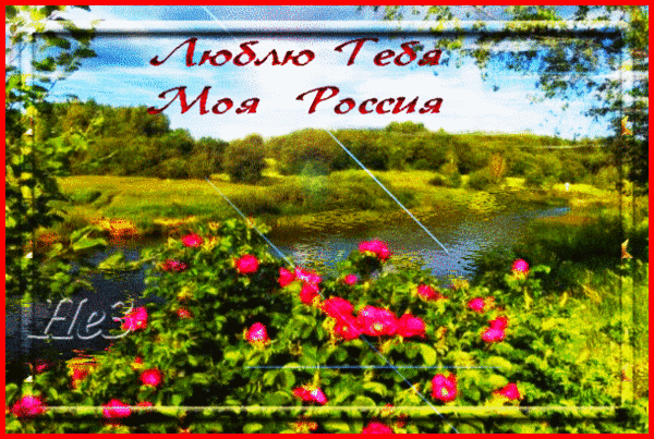 Анимированная открытка Люблю тебя, моя Россия!