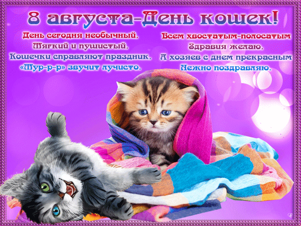 Анимированная открытка День кошек