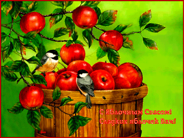 Анимированная открытка С Яблочным Спасом! Сладких яблочек Вам!