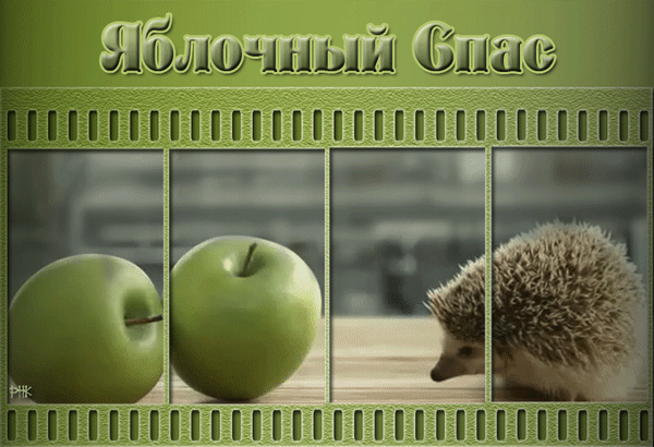 Анимированная открытка Яблочный спас