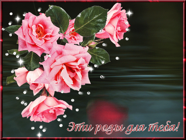 Анимированная открытка Эти розы для тебя!