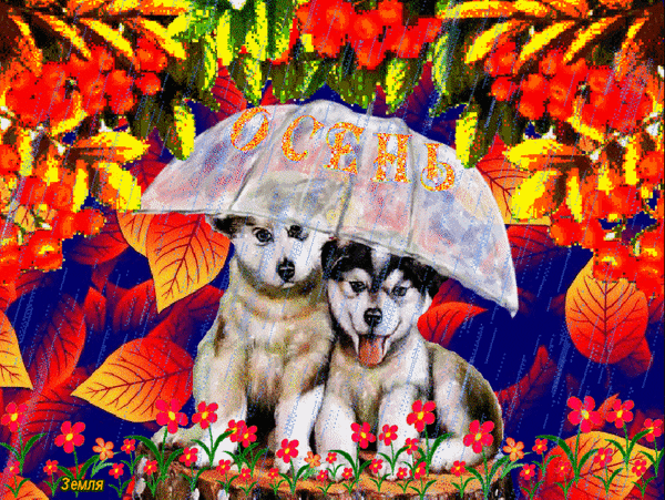 Анимированная открытка Собачки под зонтом
