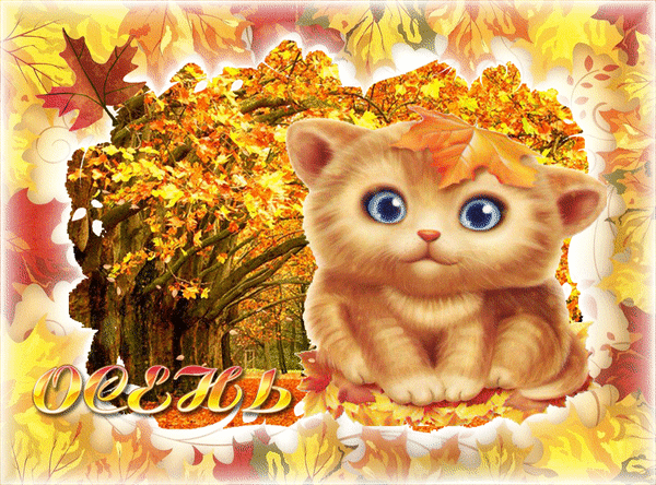 Анимированная открытка Осень!