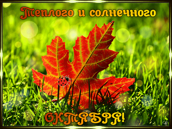 Анимированная открытка Теплого и солнечного октября!