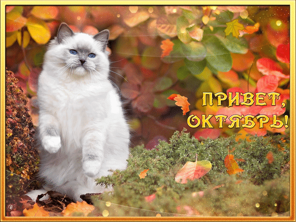 Анимированная открытка Привет, октябрь!