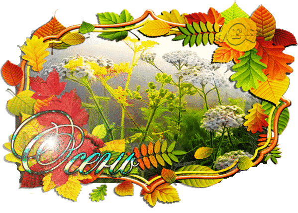 Анимированная открытка осень