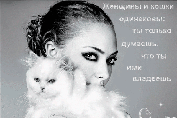 Анимированная открытка Женщины и кошки одинаковы: ты только думаешь, что ими владеешь