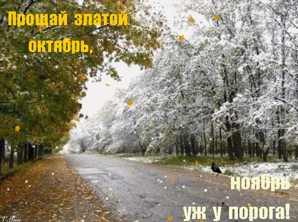 Анимированная открытка Прощай златой октябрь...