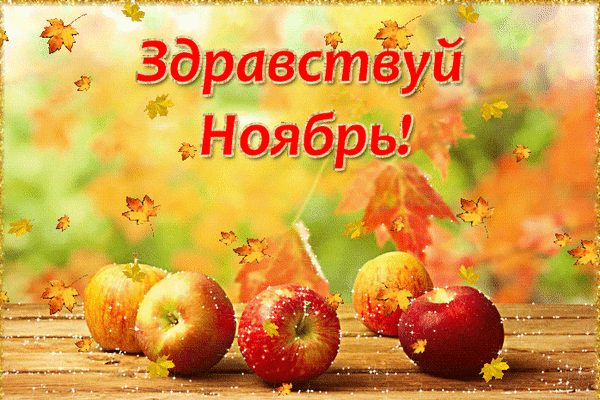 Анимированная открытка Здравствуй, ноябрь!