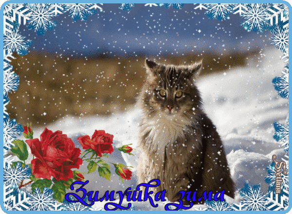 Анимированная открытка Зимушка-зима