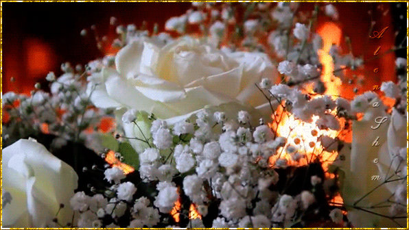 Анимированная открытка Белые розы и камин
