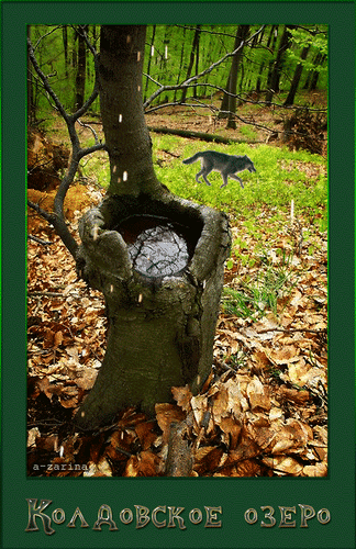 Анимированная открытка Осень в лесу