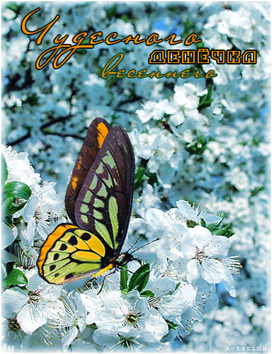 Анимированная открытка Чудесного весеннего денёчка