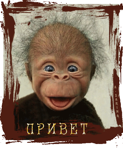 Анимированная открытка Весёлая обезьянка