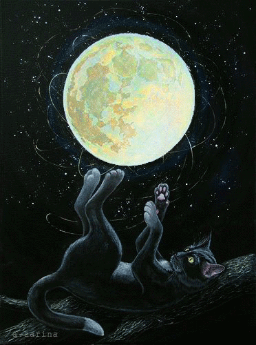 Анимированная открытка Лунный кот