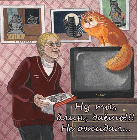 Анимированная открытка Подарок для любимого кота
