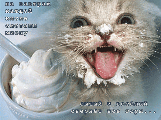 Анимированная открытка Котёнок - оптимист