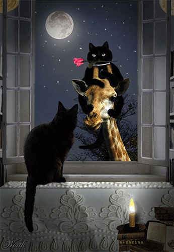 Анимированная открытка Мартовские коты ( свидание)