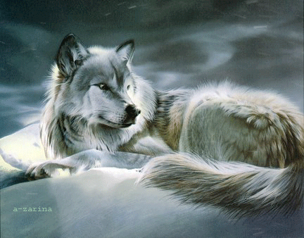 Анимированная открытка Одинокий волк