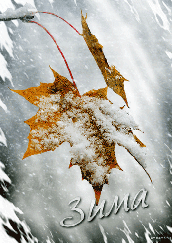 Анимированная открытка Зима пришла