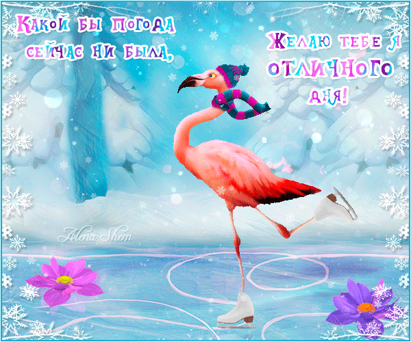 Анимированная открытка Фламинго на льду. Отличного настроения))