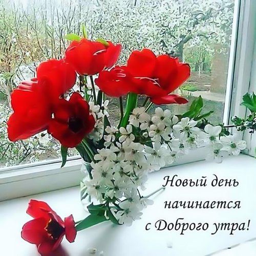 https://m1.3d-galleru.ru/cards/12/74/oq7h49kla7qchho/novyj-den-nachinaetsya-s-dobrogo-utra.gif