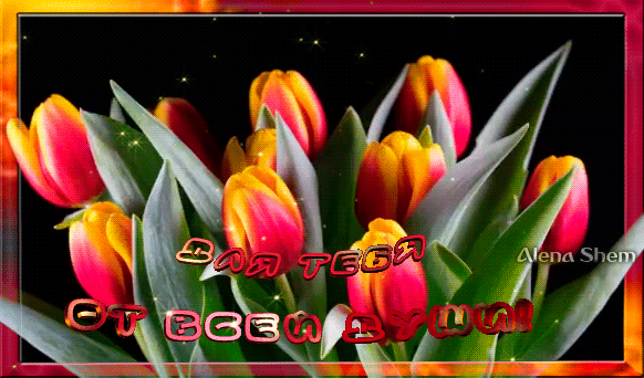Анимированная открытка Букет тюльпанов для тебя!