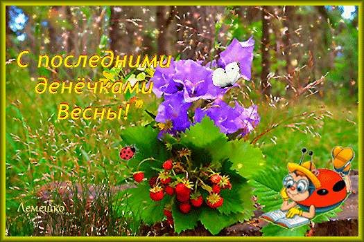 Анимированная открытка С последними денёчками Весны!