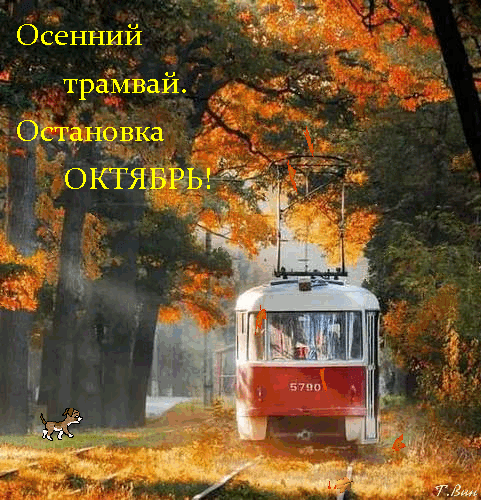 ostanovka-oktyabr.gif