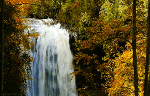 Анимированная открытка Осенний водопад