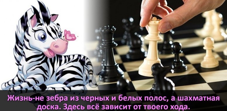 Открытка Жизнь-не зебра из черных и белых полос, а шахматная доска. Здесь всё зависит от твоего хода.