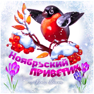 Анимированная открытка Ноябрьский приветик!