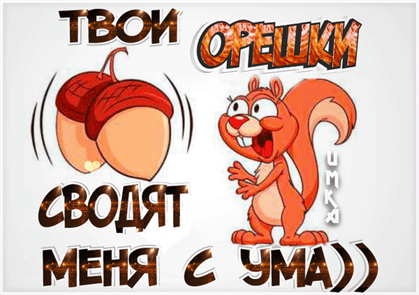 Анимированная открытка Твои орешки сводят меня с ума ))