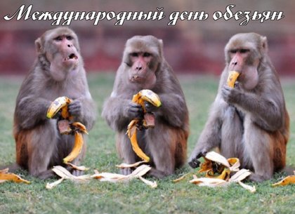Открытка Международный день обезьян