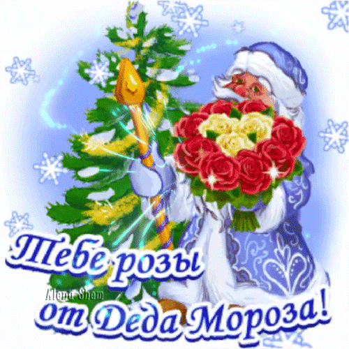 Анимированная открытка Тебе розы от Деда Мороза!