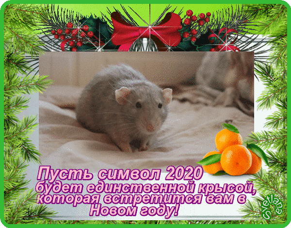 Анимированная открытка Пусть символ 2020 года будет единственной крысой, которая вам встретиться в Новом году!