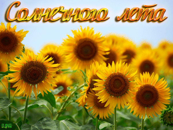 Анимированная открытка Солнечного лета!