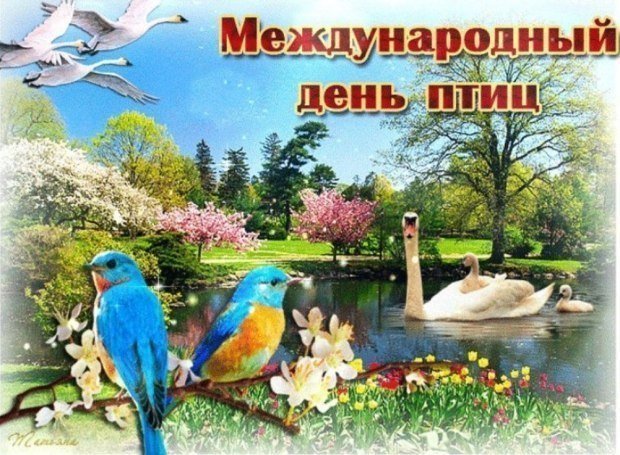 Открытка Международный день птиц