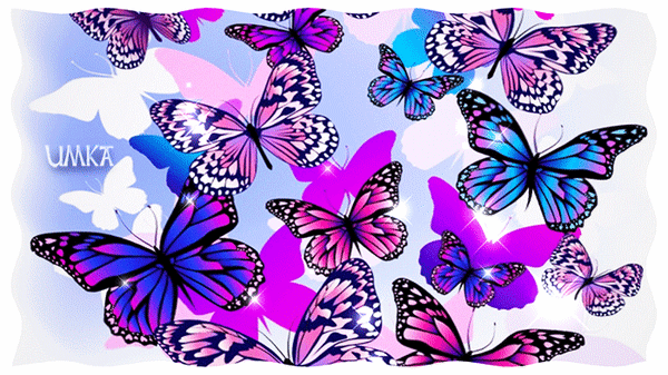 Анимированная открытка Бабочки