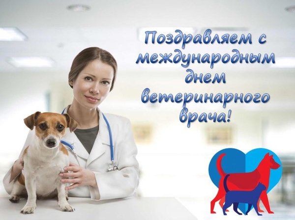 Открытка Поздравляем с Международным днём ветеринарного врача!
