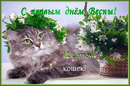 Анимированная открытка С первым днём Весны! И с днём кошек!