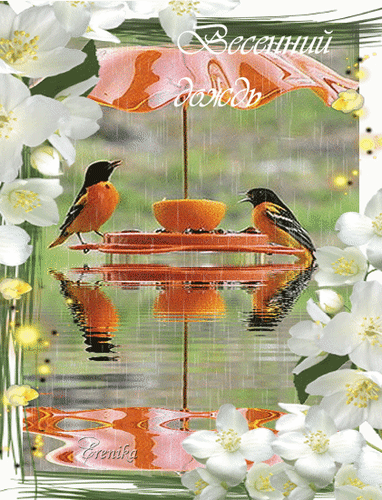 Анимированная открытка Весенний дождь