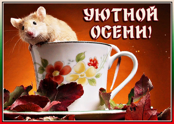 Анимированная открытка Уютной Осени!