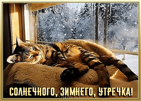 Анимированная открытка Солнечного, Зимнего, Утречка!