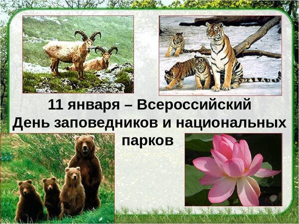 Открытка 11 января - Всероссийский День заповедников и национальных парков