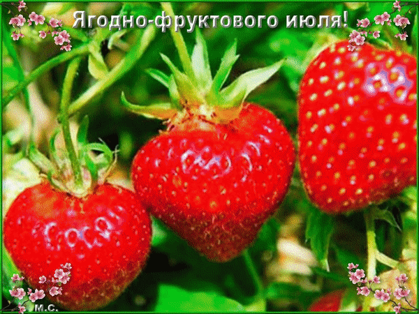 Анимированная открытка Ягодно - фруктового июля!, (М. С.)
